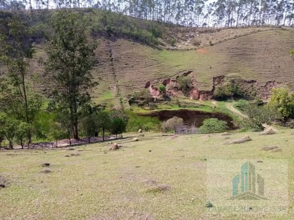 Sítio, 2 quartos, 14000 m² - Foto 3
