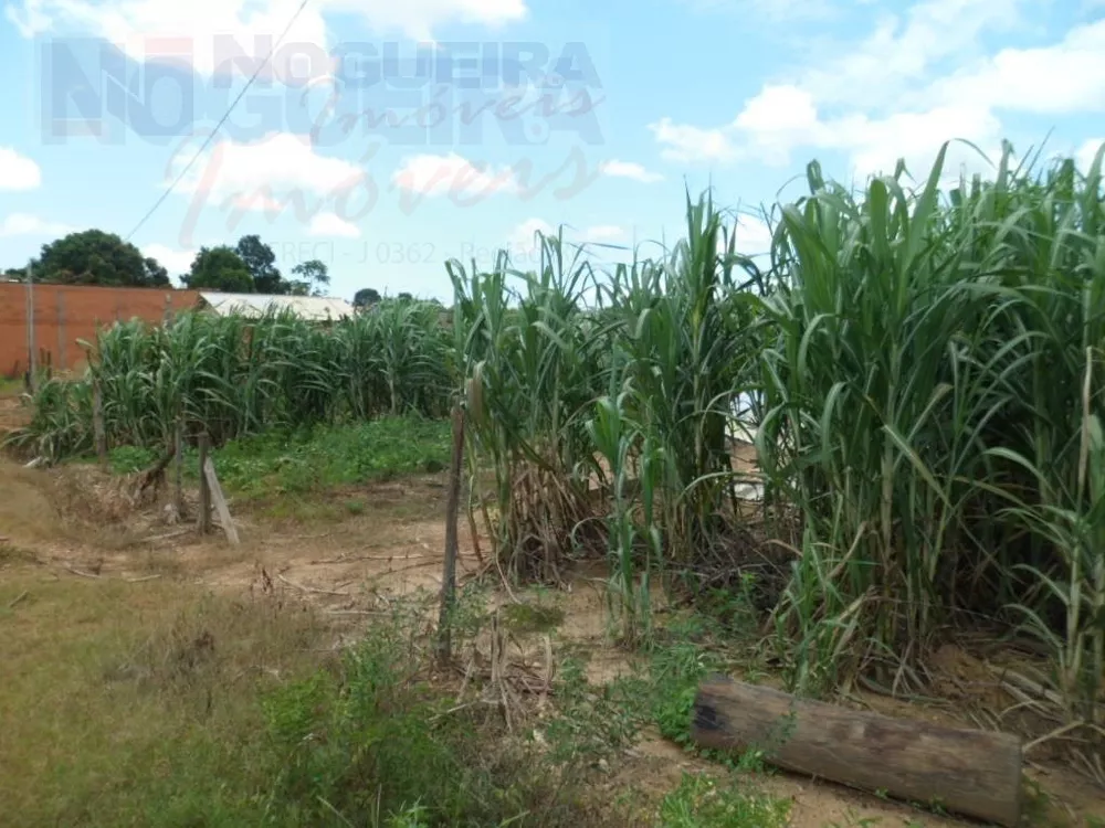 Terreno à venda, 495m² - Foto 2