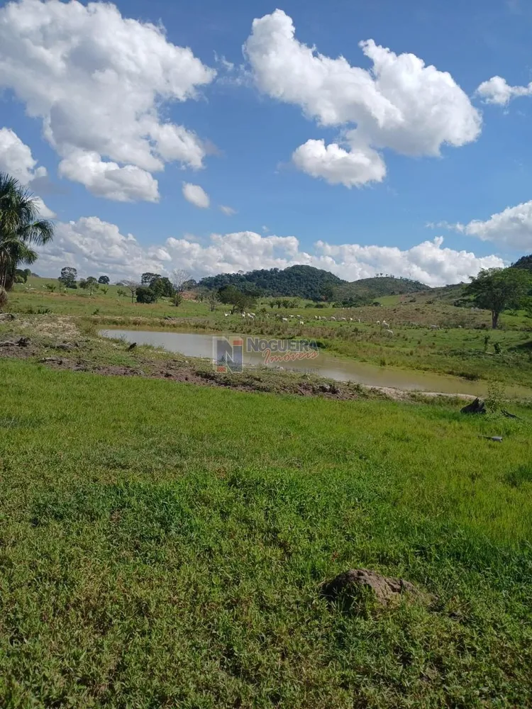 Fazenda - Foto 2