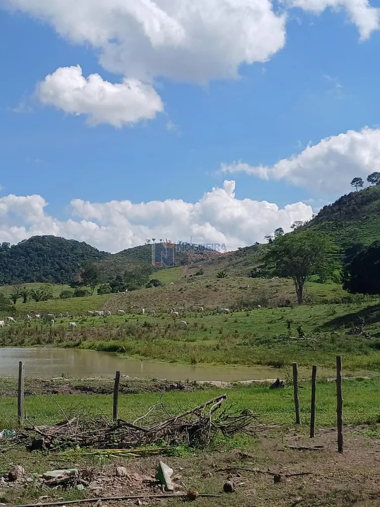 Fazenda - Foto 1