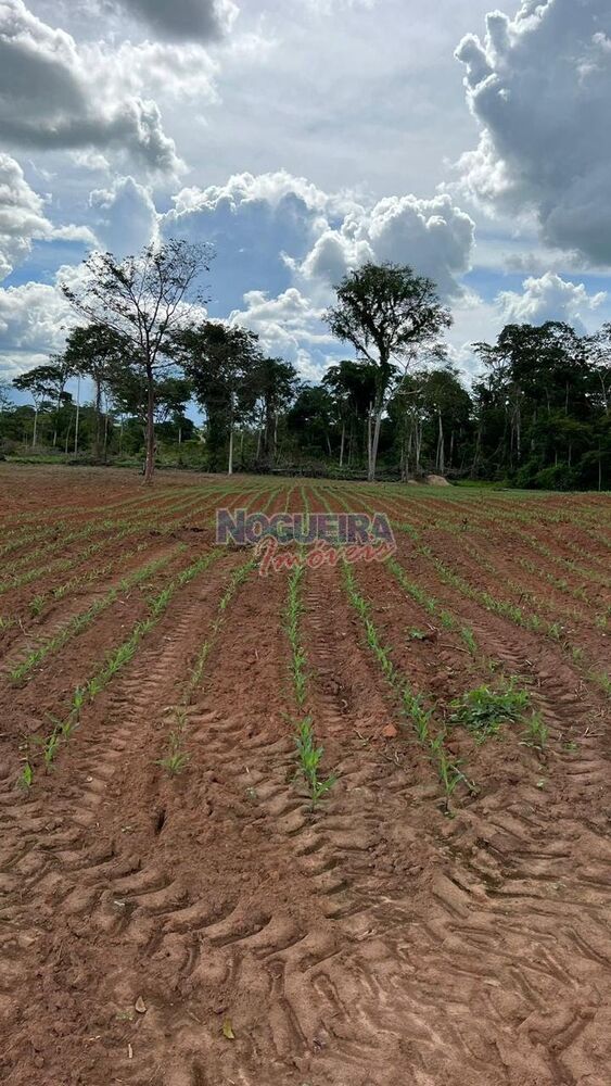 Sítio, 29 m² - Foto 9