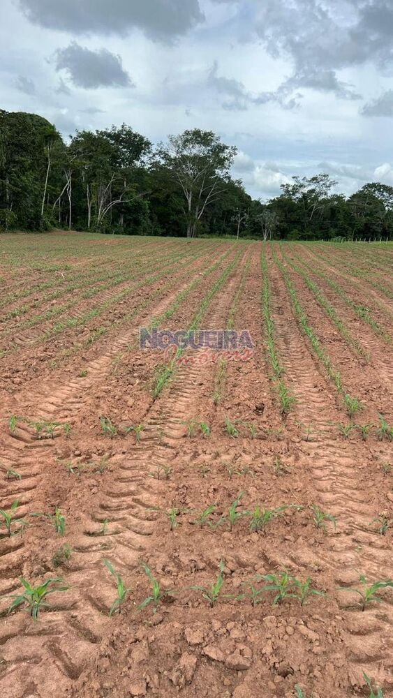 Sítio, 29 m² - Foto 11