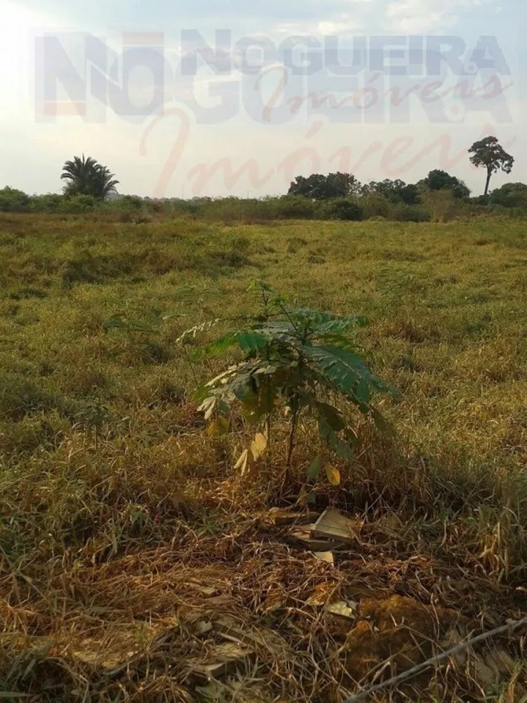 Fazenda à venda - Foto 4