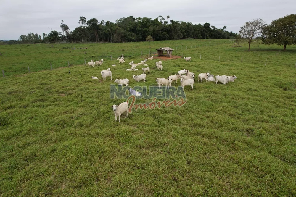 Fazenda à venda - Foto 3