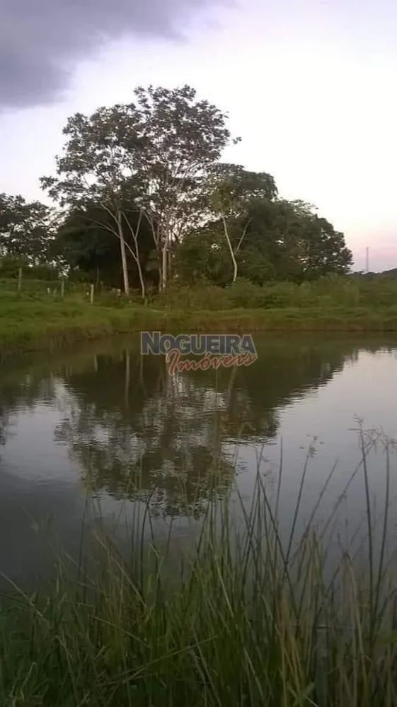 Chácara, 3 hectares - Foto 10