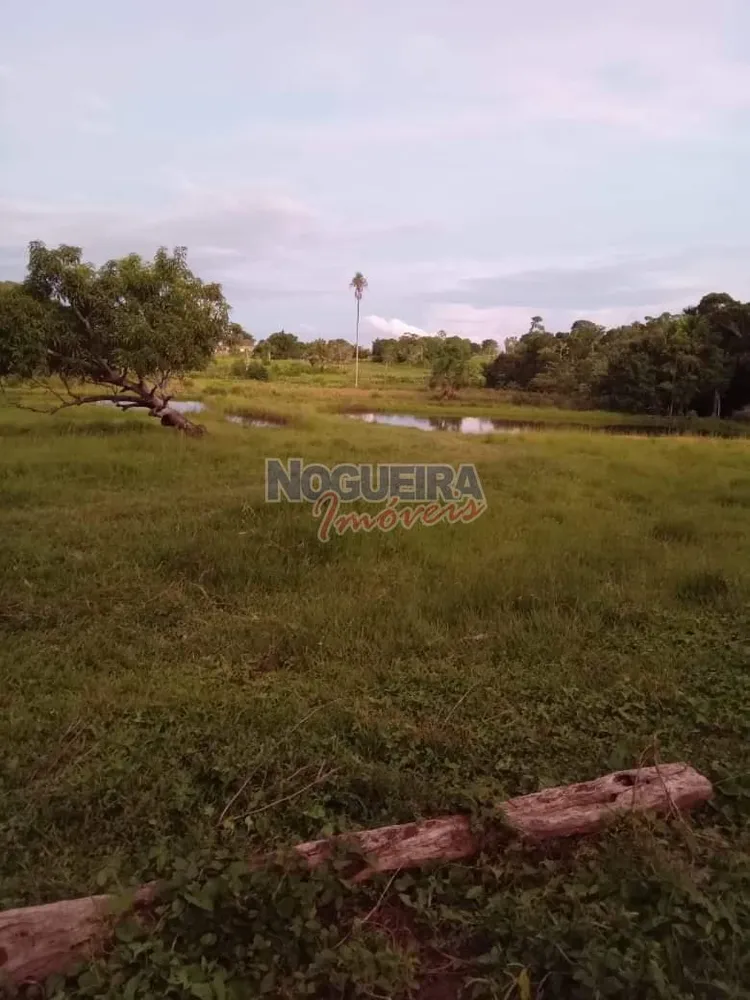 Chácara, 3 hectares - Foto 14