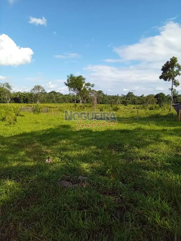Chácara, 3 hectares - Foto 17