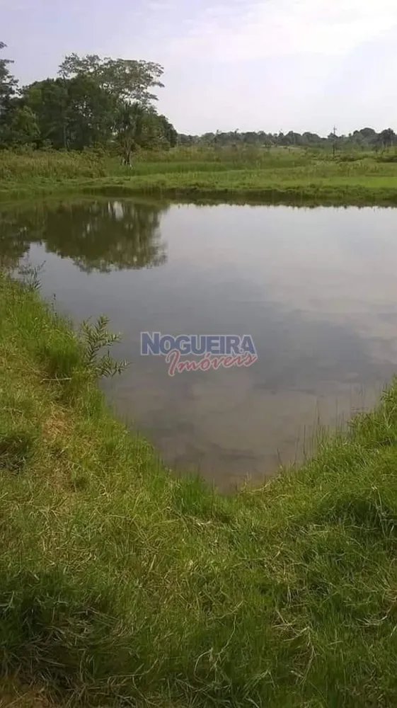 Chácara, 3 hectares - Foto 15