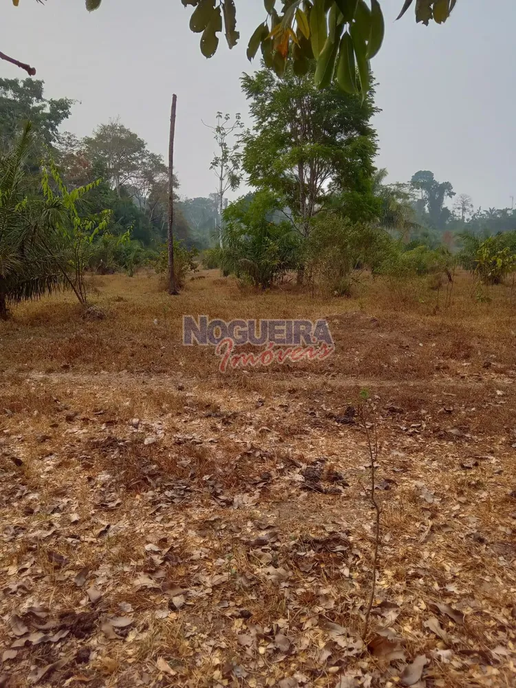 Chácara, 3 hectares - Foto 9