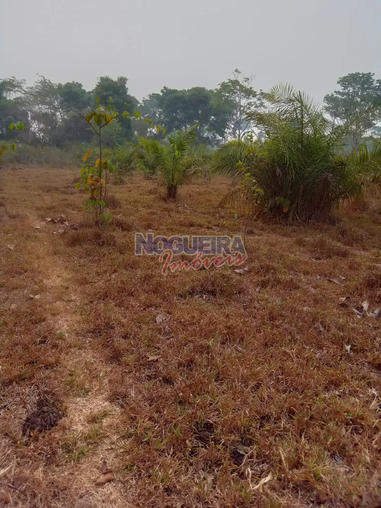 Chácara, 3 hectares - Foto 12
