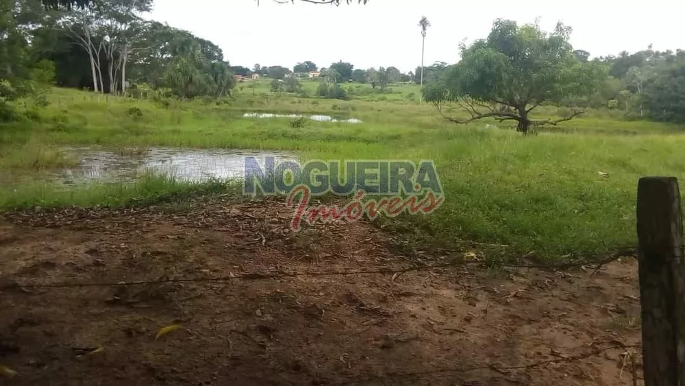 Chácara, 3 hectares - Foto 7