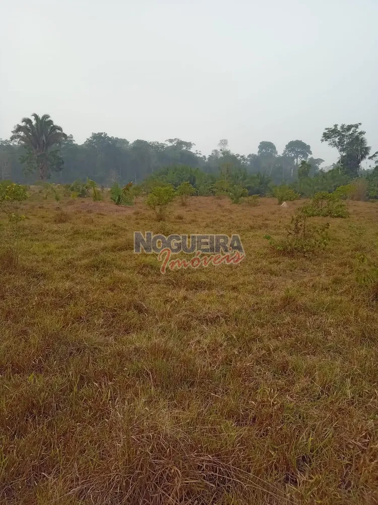 Chácara, 3 hectares - Foto 16