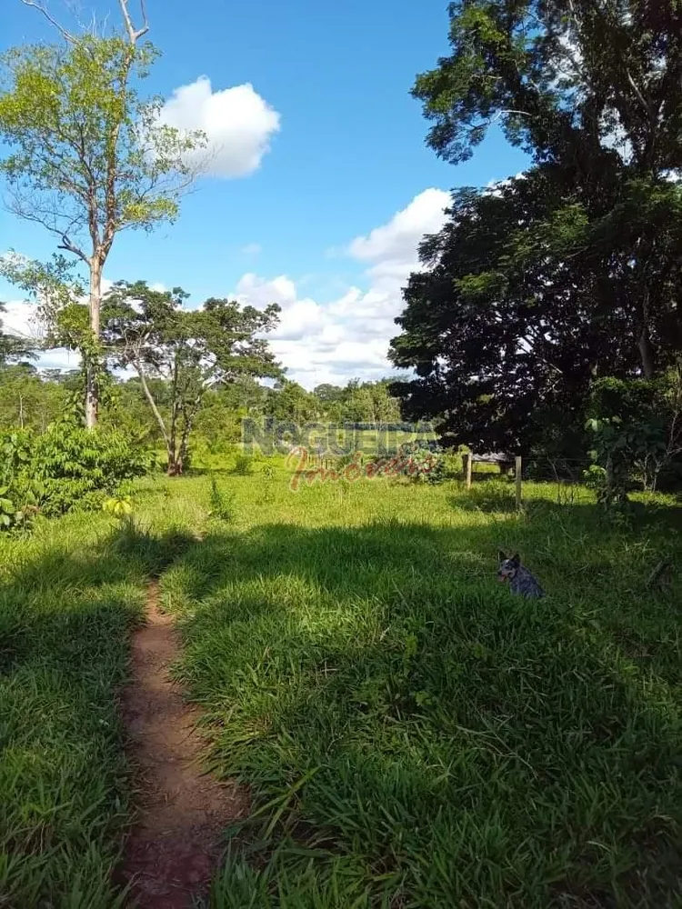 Chácara, 3 hectares - Foto 18