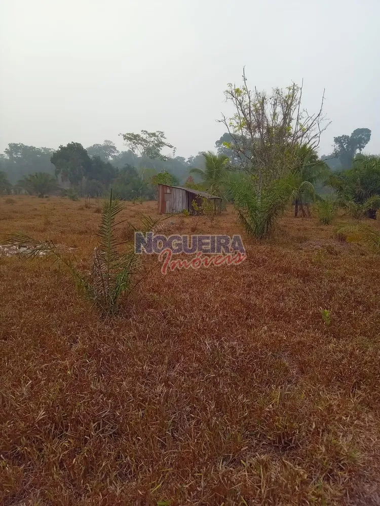 Chácara, 3 hectares - Foto 6