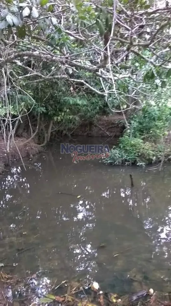 Chácara, 3 hectares - Foto 11