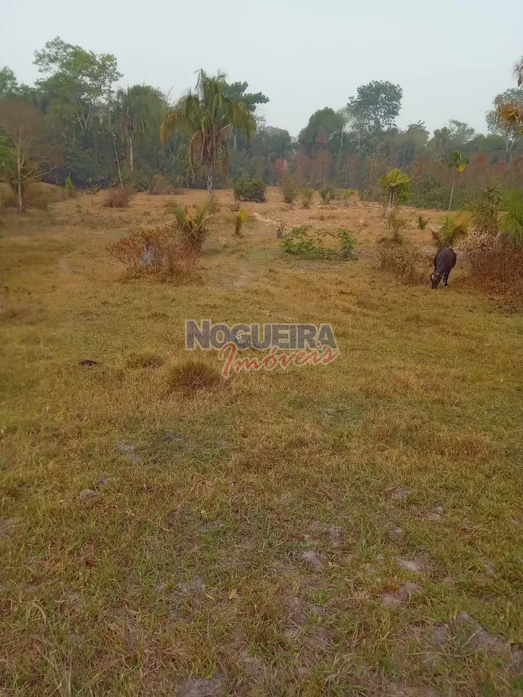 Chácara, 3 hectares - Foto 4