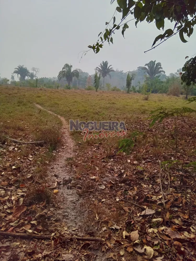 Chácara, 3 hectares - Foto 1