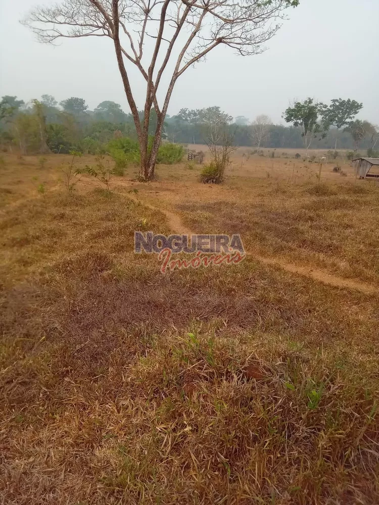 Chácara, 3 hectares - Foto 3