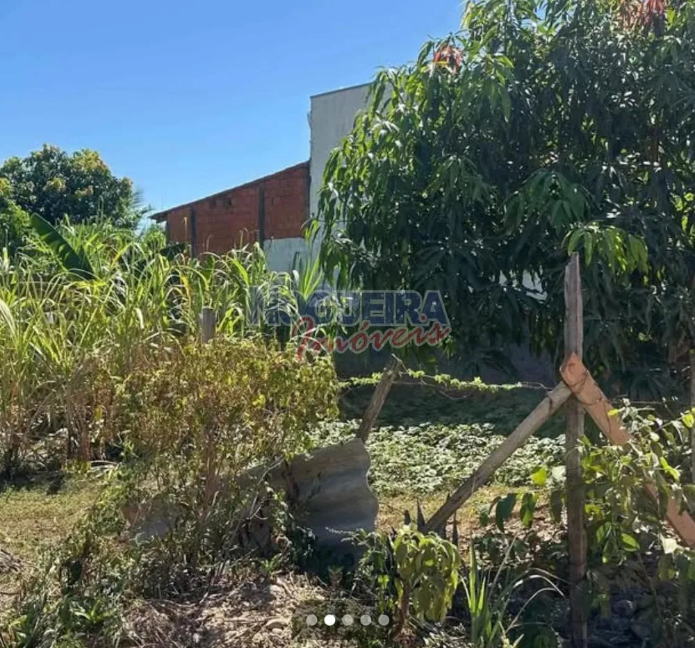 Terreno - Foto 2