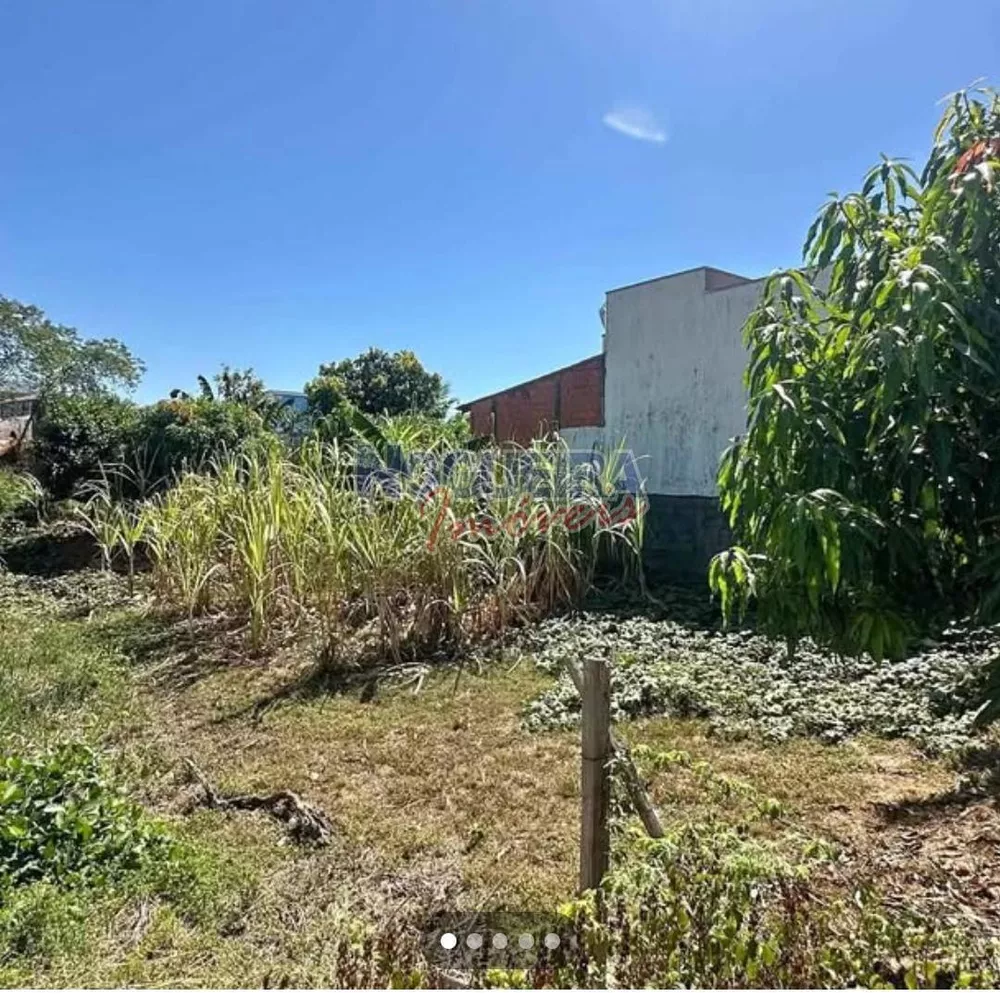 Terreno - Foto 2