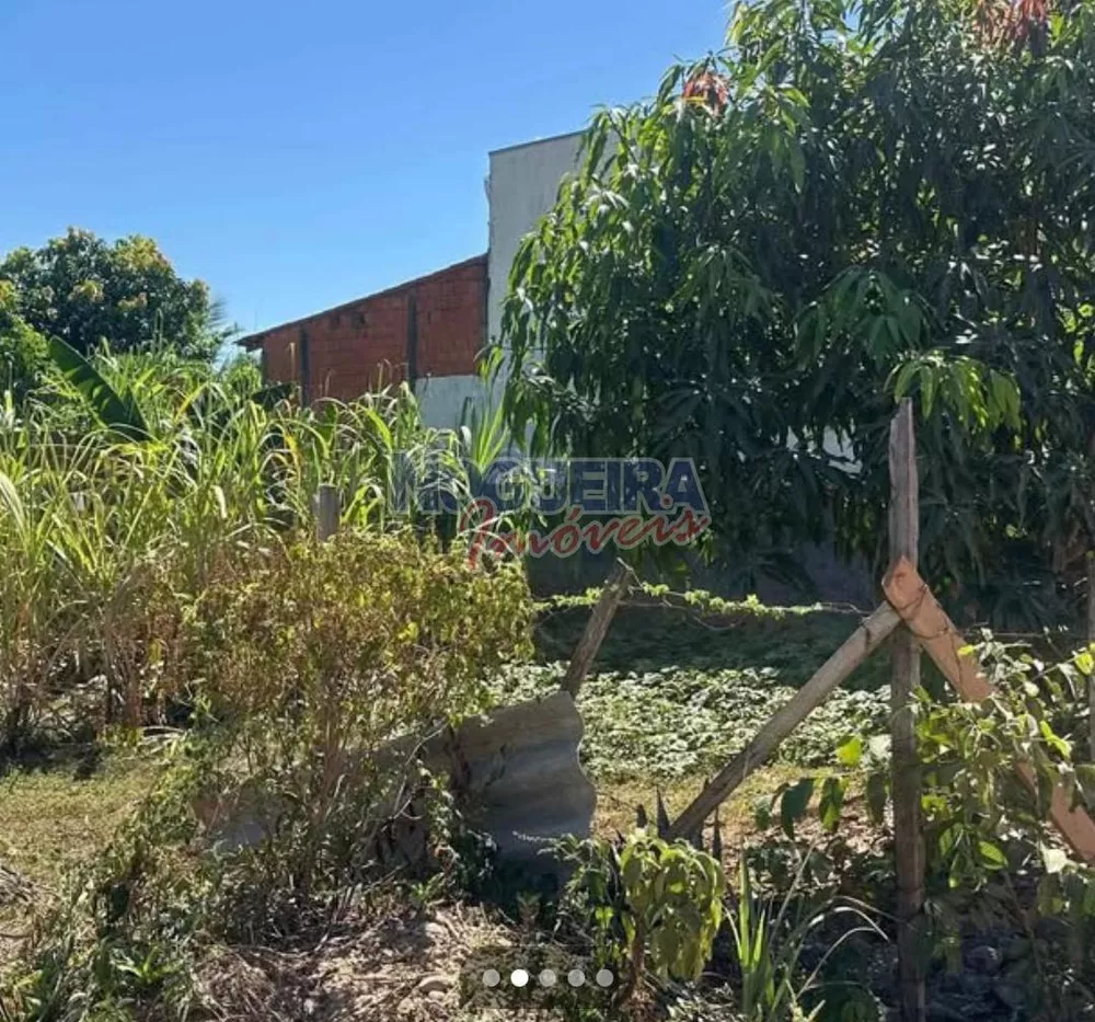 Terreno - Foto 3