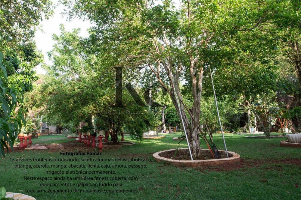 Chácara, 6 quartos, 2400 m² - Foto 12