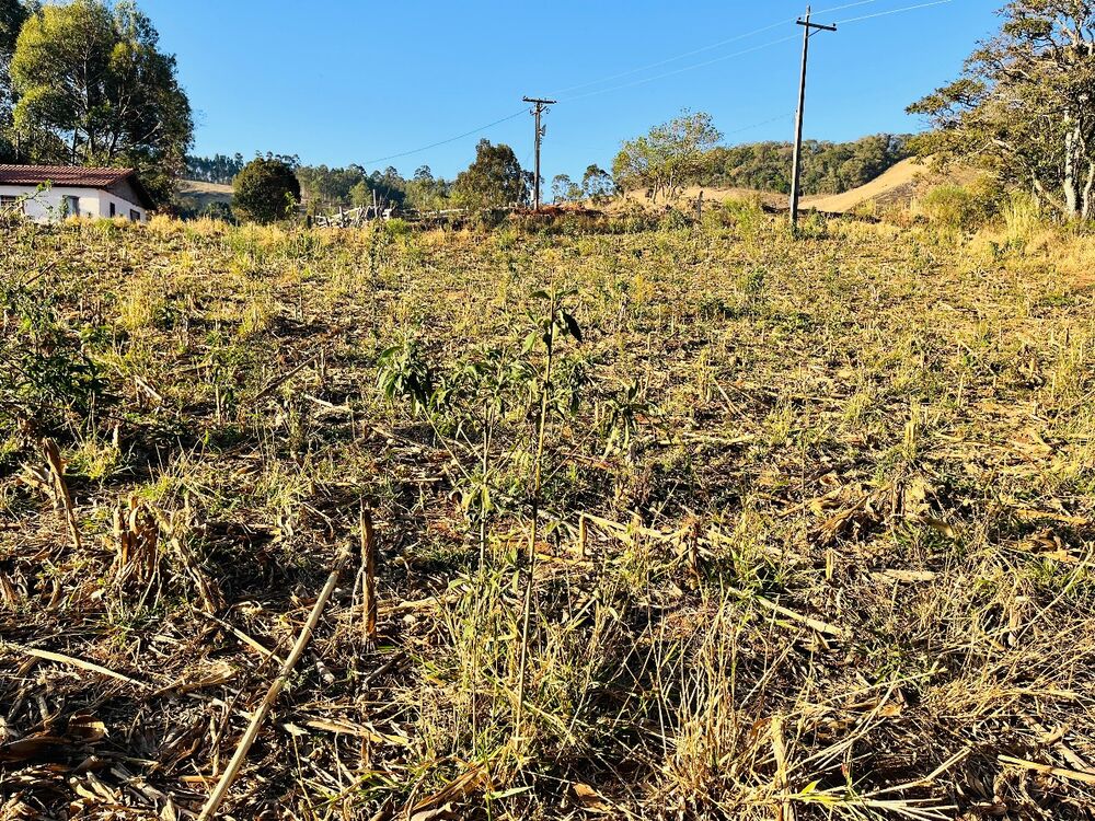 Terreno, 1000 m² - Foto 9