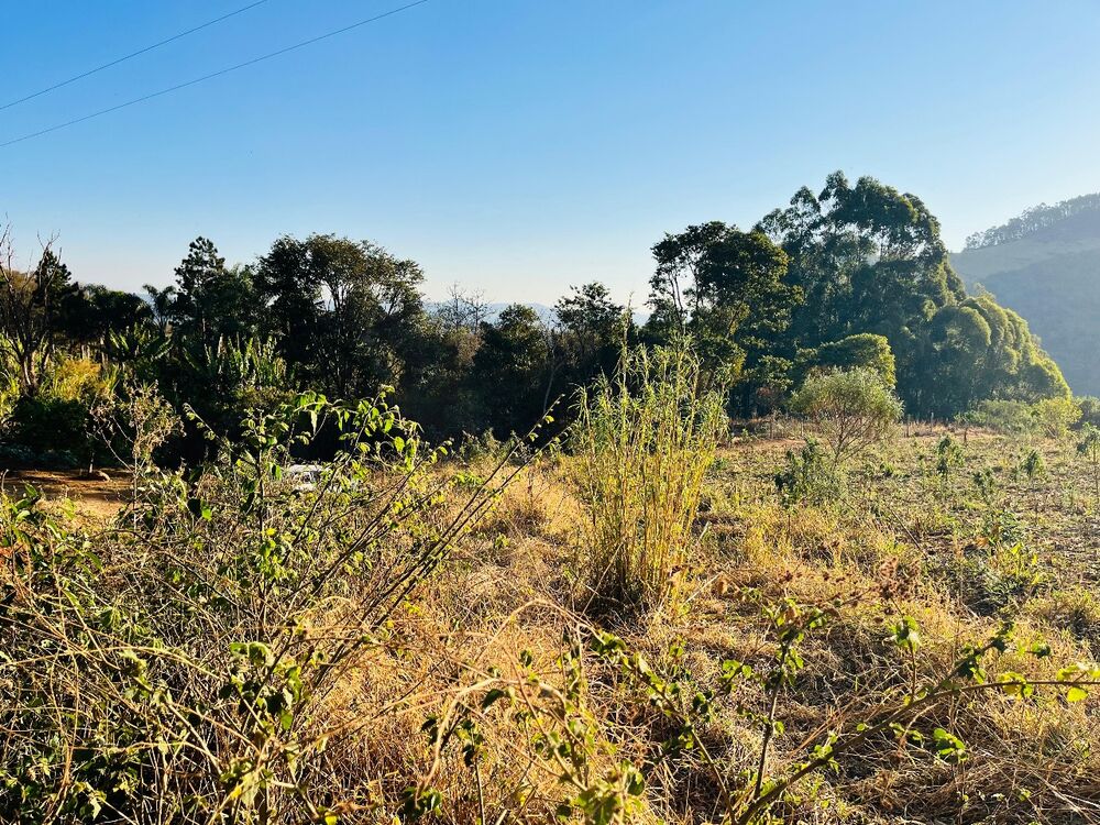 Terreno, 1000 m² - Foto 2