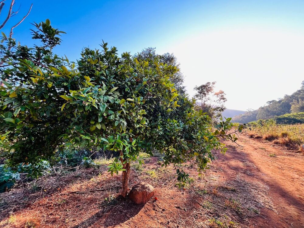 Terreno, 1000 m² - Foto 3