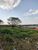 Terreno, 250 m² - Foto 8