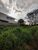 Terreno, 250 m² - Foto 6