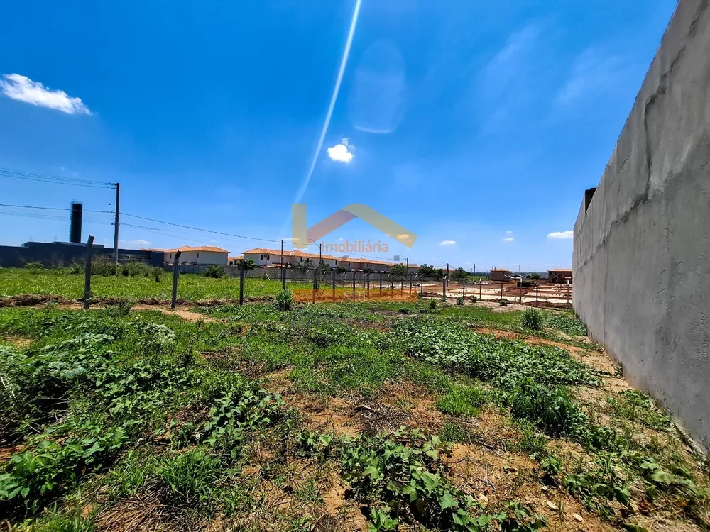 Terreno, 300 m² - Foto 5