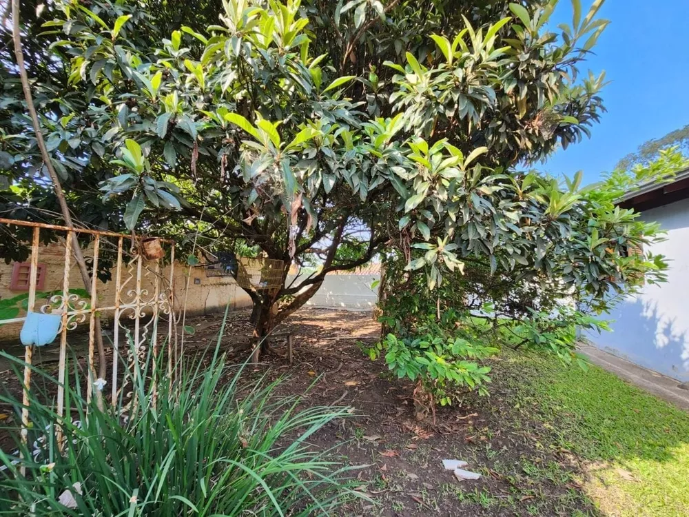 Chácara, 3 quartos, 1040 m² - Foto 9