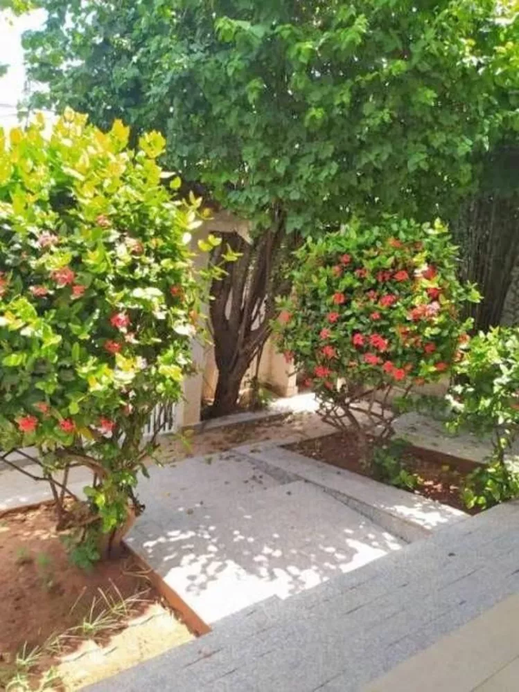 Casa, 3 quartos, 236 m² - Foto 20