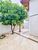 Sobrado, 4 quartos, 352 m² - Foto 30
