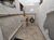 Sobrado, 4 quartos, 267 m² - Foto 3