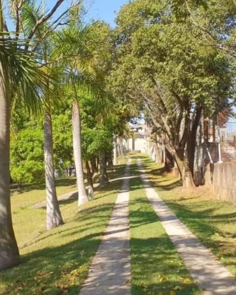 Chácara, 2 quartos, 5680 m² - Foto 6