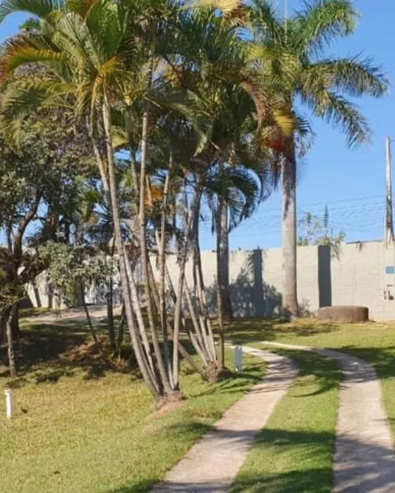 Chácara, 2 quartos, 5680 m² - Foto 5