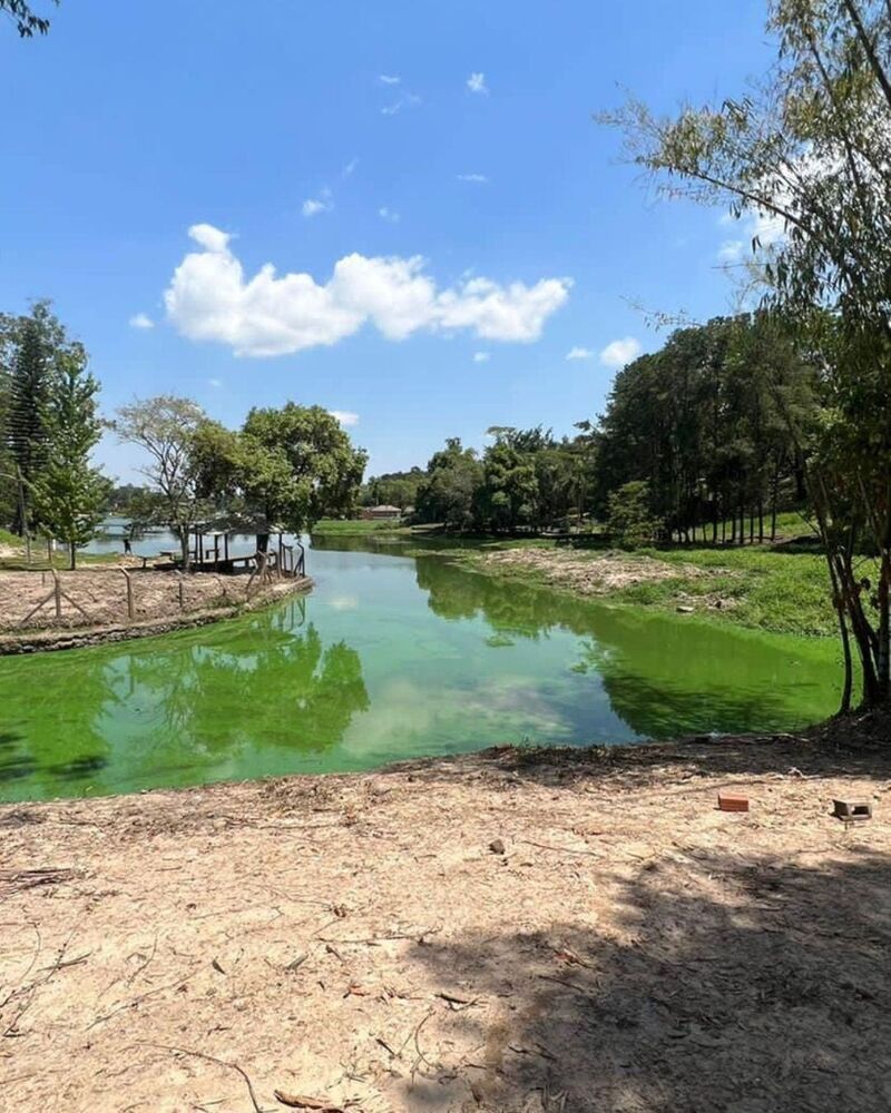 Chácara, 2 quartos, 5680 m² - Foto 1