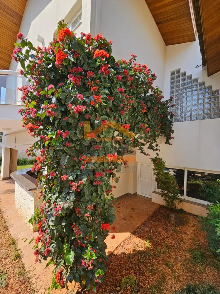 Casa, 3 quartos - Foto 32