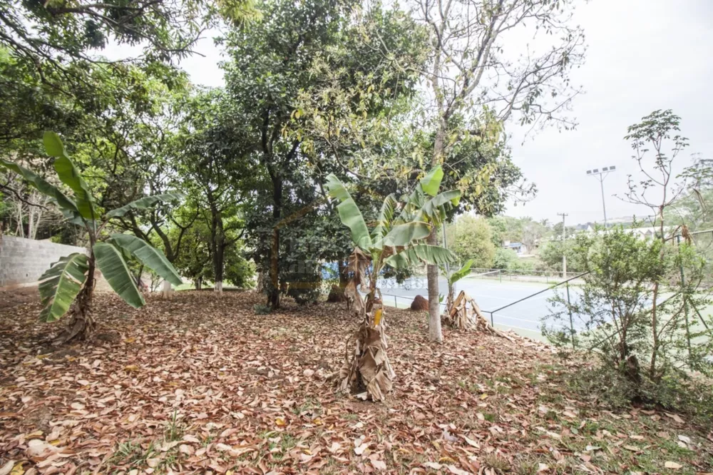 Chácara, 5 quartos, 5186 m² - Foto 8