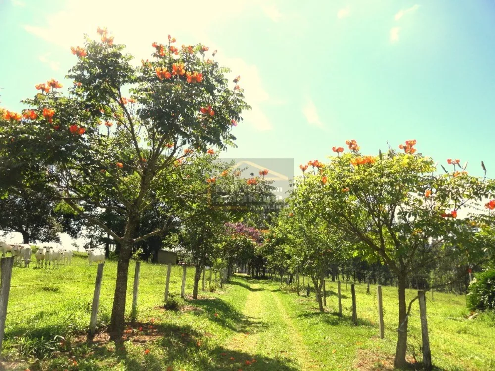 Sítio, 5 quartos, 46 hectares - Foto 15