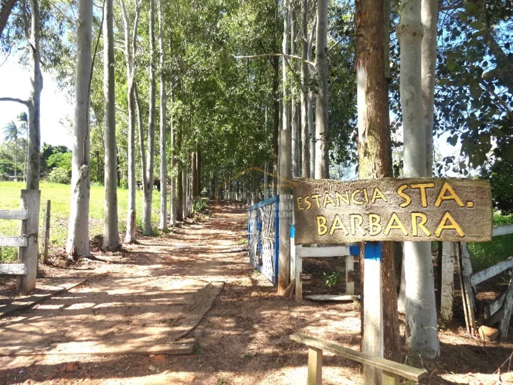 Sítio, 5 quartos, 46 hectares - Foto 16