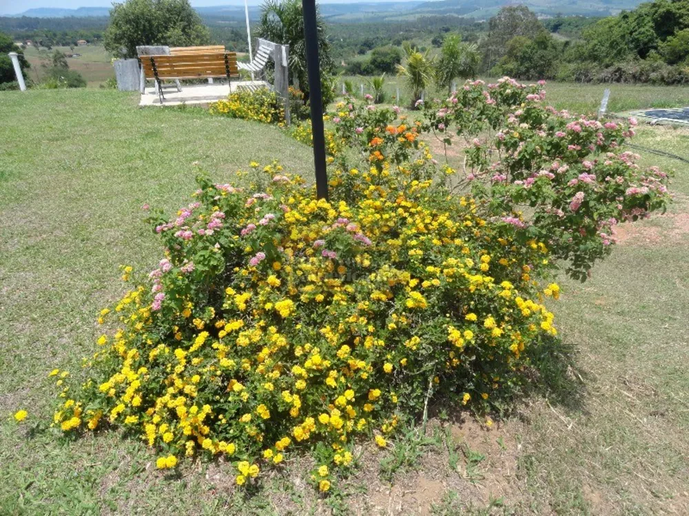 Sítio, 5 quartos, 46 hectares - Foto 5