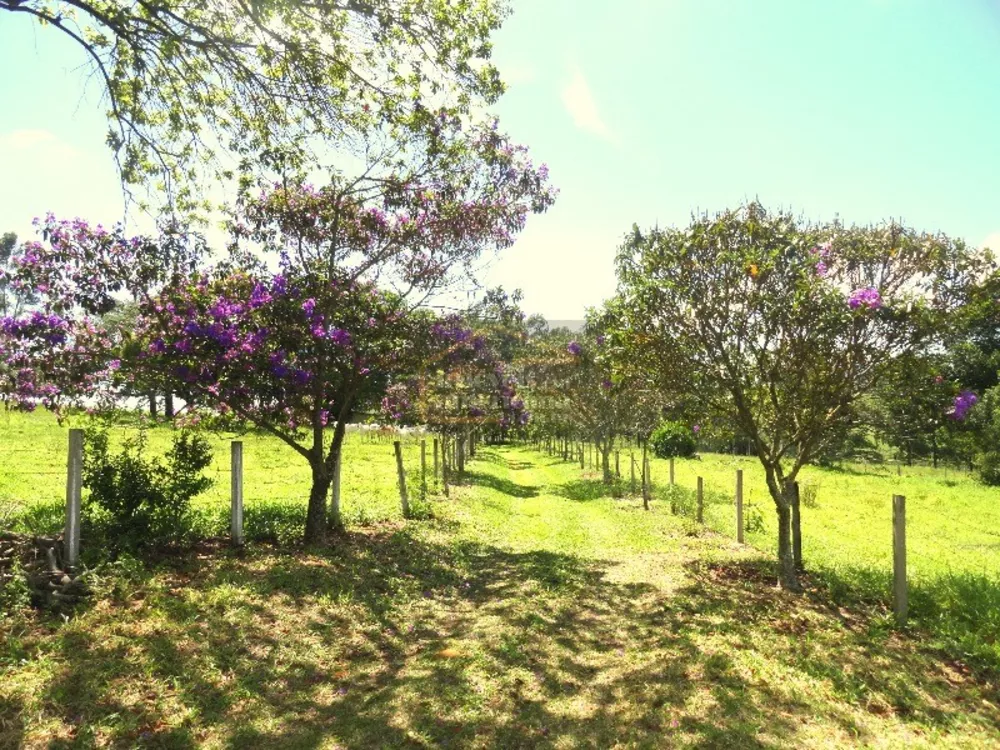 Sítio, 5 quartos, 46 hectares - Foto 14