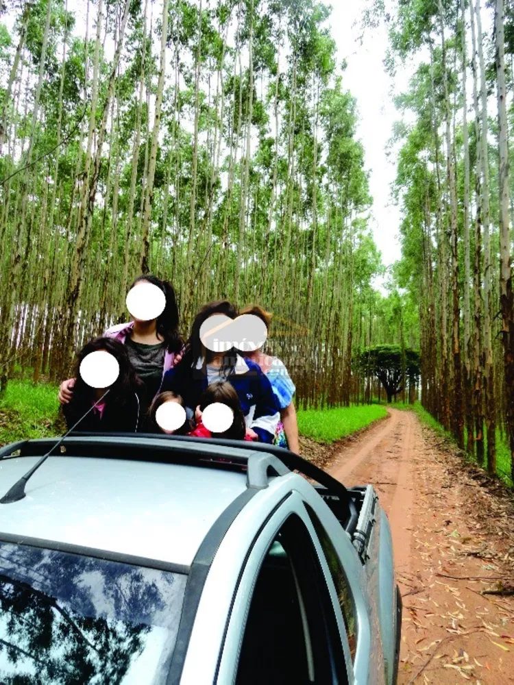 Sítio, 5 quartos, 46 hectares - Foto 18