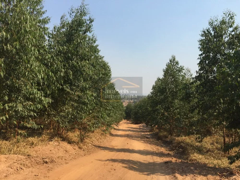 Sítio, 5 quartos, 46 hectares - Foto 21