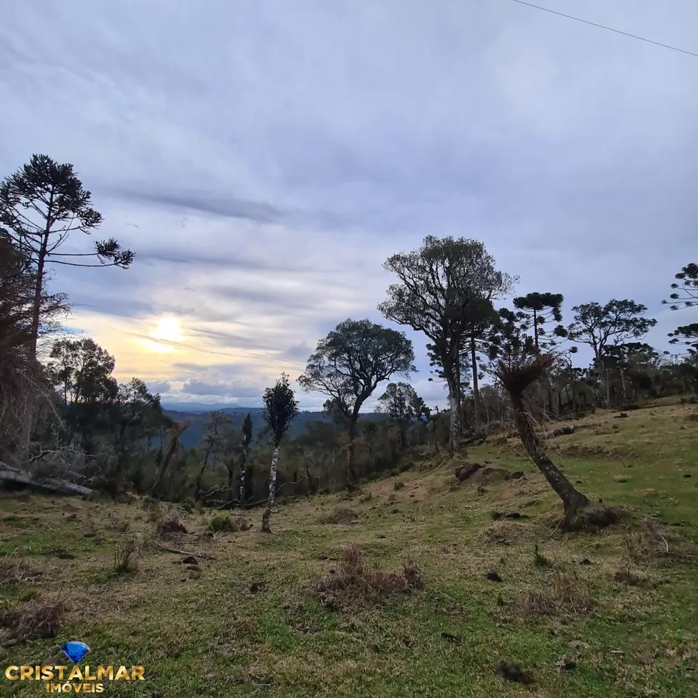 Loteamento e Condomínio, 2 hectares - Foto 1