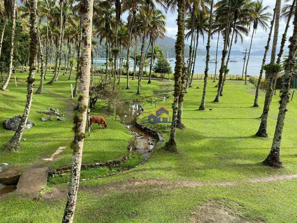 Terreno, 81 hectares - Foto 5