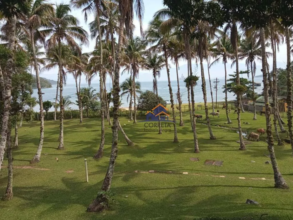 Terreno, 81 hectares - Foto 6